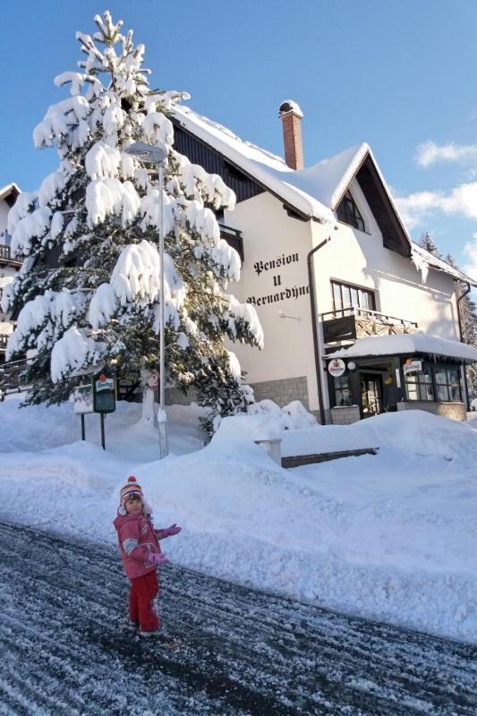 Hotel U Bernardýna Harrachov Exterior foto